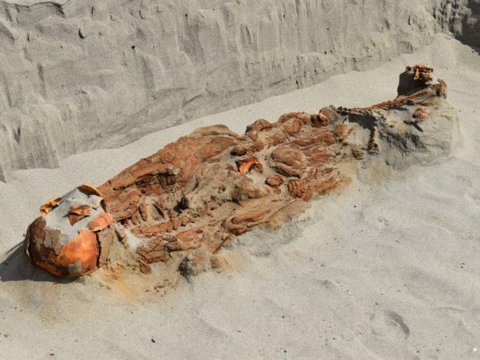'Unusual' burial rituals discovered in 2,300-year-old tomb leave archaeologists baffled | विशेष लेख: उत्खननात सापडले २३०० वर्षांपूर्वीचे ‘बळी’