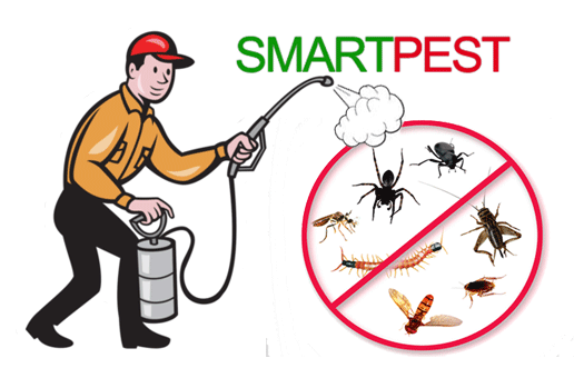 Shocking !! Girl dies in Thane due to smell of pest control | धक्कादायक! पेस्ट कंट्रोलच्या वासामुळे ठाण्यात बालिकेचा मृत्यु Shocking !! Girl dies in Thane due to smell of pest control | धक्कादायक! पेस्ट कंट्रोलच्या वासामुळे ठाण्यात बालिकेचा मृत्यु