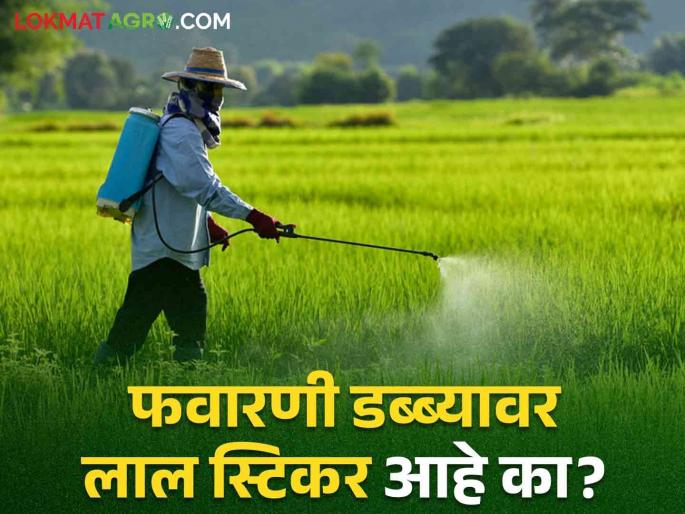 Pesticides Awareness: Farmers! Be careful when spraying | Pesticides Awareness : शेतकऱ्यांनो! फवारणी करताना घ्या काळजी