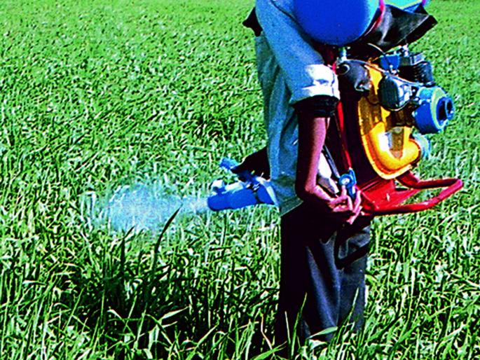 Farmers did not died due to pesticide! | शेतकरयांचे मृत्यू कीटकनाशकामुळे झालेच नाहीत! Farmers did not died due to pesticide! | शेतकरयांचे मृत्यू कीटकनाशकामुळे झालेच नाहीत!