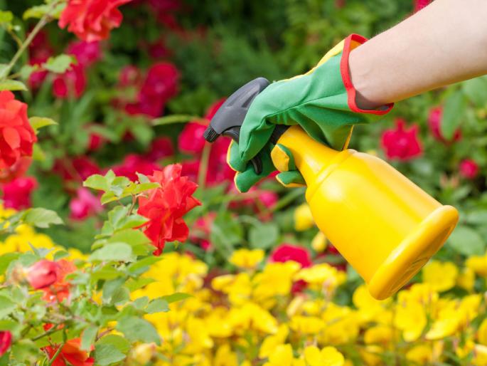 Death of spraying insecticide in Nagpur | नागपुरात किटकनाशकाची फवारणी करताना इसमाचा मृत्यू Death of spraying insecticide in Nagpur | नागपुरात किटकनाशकाची फवारणी करताना इसमाचा मृत्यू