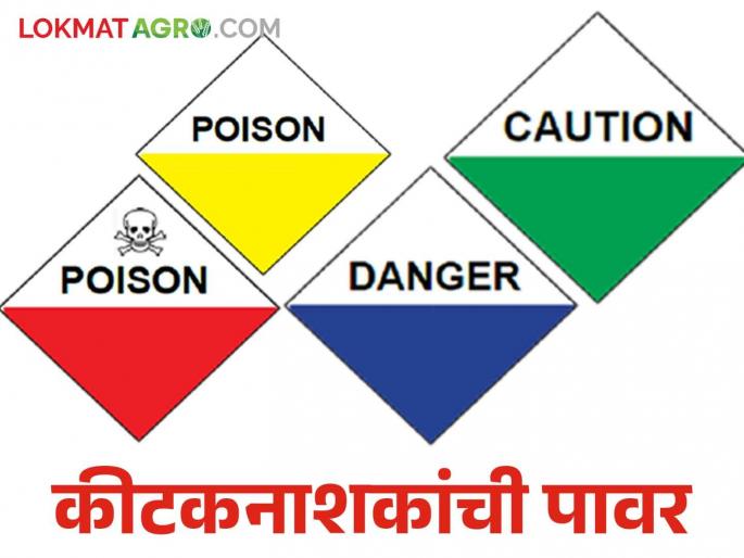 What do the colors in the kite-shaped triangle on the pesticide container say? Read in detail | किडनाशकांच्या डब्यावरील पतंगाच्या आकाराच्या त्रिकोणामधील रंग काय सांगतात? वाचा सविस्तर What do the colors in the kite-shaped triangle on the pesticide container say? Read in detail | किडनाशकांच्या डब्यावरील पतंगाच्या आकाराच्या त्रिकोणामधील रंग काय सांगतात? वाचा सविस्तर