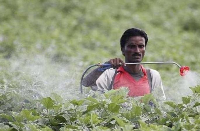 Farmers' meetings in villages to prevent poisoning! | विषबाधेच्या घटना टाळण्यासाठी गावा-गावांत शेतकऱ्यांच्या बैठका! Farmers' meetings in villages to prevent poisoning! | विषबाधेच्या घटना टाळण्यासाठी गावा-गावांत शेतकऱ्यांच्या बैठका!