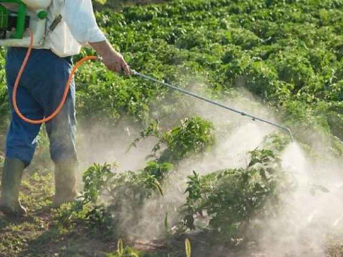 Poisoning by sprying pesticide at manora | किटकनाशक फवारणीमुळे तिघांना विषबाधा