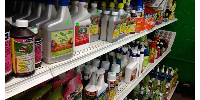 Agricultural Services Centers in Washim District on radar | वाशिम जिल्ह्यातील ३१६ कृषी सेवा केंद्रांची झाडाझडती Agricultural Services Centers in Washim District on radar | वाशिम जिल्ह्यातील ३१६ कृषी सेवा केंद्रांची झाडाझडती