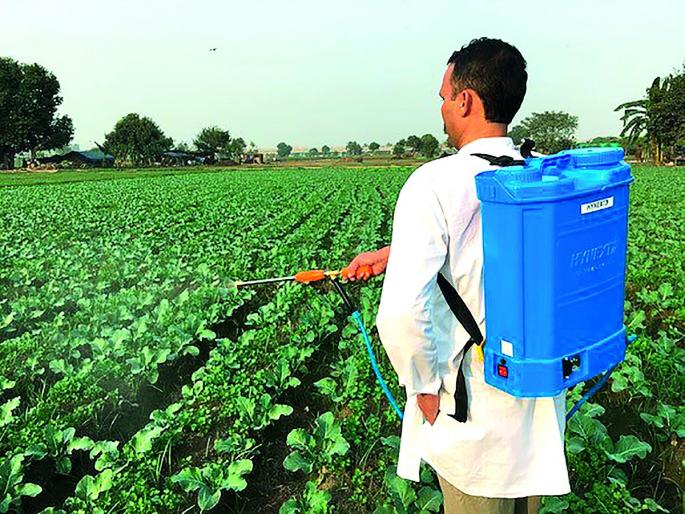 Ban on sale, distribution and use of 'pesticides' in Amravati Revenue Department | अमरावती महसूल विभागात 'या' प्रकारच्या कीटकनाशकांची विक्री, वितरण व वापर करण्यास बंदी Ban on sale, distribution and use of 'pesticides' in Amravati Revenue Department | अमरावती महसूल विभागात 'या' प्रकारच्या कीटकनाशकांची विक्री, वितरण व वापर करण्यास बंदी