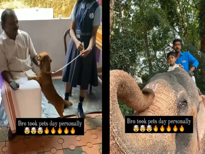 Viral Video: Pet Day organized at school; Some brought a dog, some a cat... One student reached school with an elephant | कुत्रा, मांजर विसरा..; विद्यार्थ्याने शाळेत आणला हत्ती, पाहून सर्वांनाच बसला धक्का; पाहा video Viral Video: Pet Day organized at school; Some brought a dog, some a cat... One student reached school with an elephant | कुत्रा, मांजर विसरा..; विद्यार्थ्याने शाळेत आणला हत्ती, पाहून सर्वांनाच बसला धक्का; पाहा video