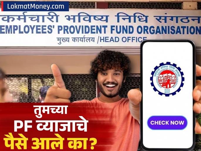 EPF Interest Credit How to Check Your PF Balance Online, SMS, Missed Call | तुमच्या PF खात्यात व्याजाचे पैसे आले का? फक्त एका मिनिटात 'या' सोप्या पद्धतीने शिल्लक तपासा!