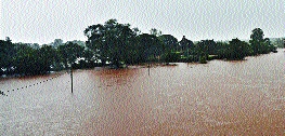 Flood threat to Kolhapur | कोल्हापूरला महापुराचा धोका