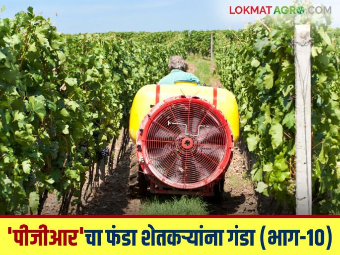 Bogus companies shut down; fearing action, people start disposing of agrochemicals | बोगस कंपन्यांनी गाशा गुंडाळला; कारवाईच्या धास्तीने औषधांची विल्हेवाट लावण्यास सुरुवात Bogus companies shut down; fearing action, people start disposing of agrochemicals | बोगस कंपन्यांनी गाशा गुंडाळला; कारवाईच्या धास्तीने औषधांची विल्हेवाट लावण्यास सुरुवात