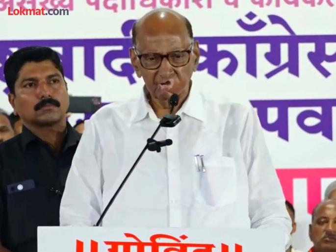 MP Sharad Pawar criticized mahayuti government over mukhymantri ladaki bahin yojana | '४८ पैकी ३१ जागा जिंकल्यावर यांना लाडकी बहीण आठवली'; शरद पवारांचा महायुती सरकारला खोचक टोला MP Sharad Pawar criticized mahayuti government over mukhymantri ladaki bahin yojana | '४८ पैकी ३१ जागा जिंकल्यावर यांना लाडकी बहीण आठवली'; शरद पवारांचा महायुती सरकारला खोचक टोला