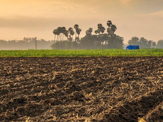 There is no rain in Phaltan taluka of Satara district, Farmers worried | सातारा जिल्ह्याच्या पश्चिमेला धो-धो, पूर्वेला थुई-थुई पाऊस!, शेतकरी चिंताग्रस्त  There is no rain in Phaltan taluka of Satara district, Farmers worried | सातारा जिल्ह्याच्या पश्चिमेला धो-धो, पूर्वेला थुई-थुई पाऊस!, शेतकरी चिंताग्रस्त