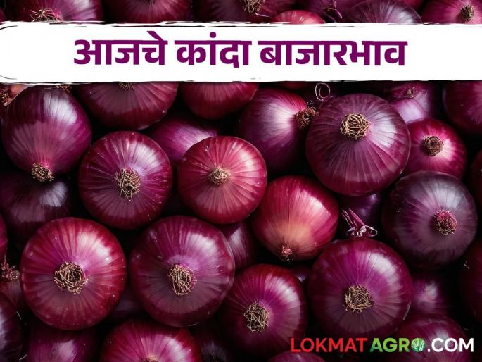 Latest News Kanda Market onion market price on Raksha Bandhan day, read today's market price | Kanda Market : रक्षाबंधनाच्या दिवशी कांद्याला काय भाव मिळाला, वाचा आजचे बाजारभाव Latest News Kanda Market onion market price on Raksha Bandhan day, read today's market price | Kanda Market : रक्षाबंधनाच्या दिवशी कांद्याला काय भाव मिळाला, वाचा आजचे बाजारभाव