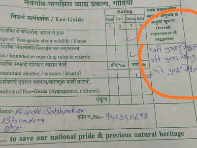 'I will come again' to tourist forest department after enjoying a walk in the tiger project! | 'मी पुन्हा येईन'! व्याघ्र प्रकल्पात फिरण्याचा आनंद घेतल्यानंतर पर्यटकाचा वनविभागाला फिडबॅक 'I will come again' to tourist forest department after enjoying a walk in the tiger project! | 'मी पुन्हा येईन'! व्याघ्र प्रकल्पात फिरण्याचा आनंद घेतल्यानंतर पर्यटकाचा वनविभागाला फिडबॅक