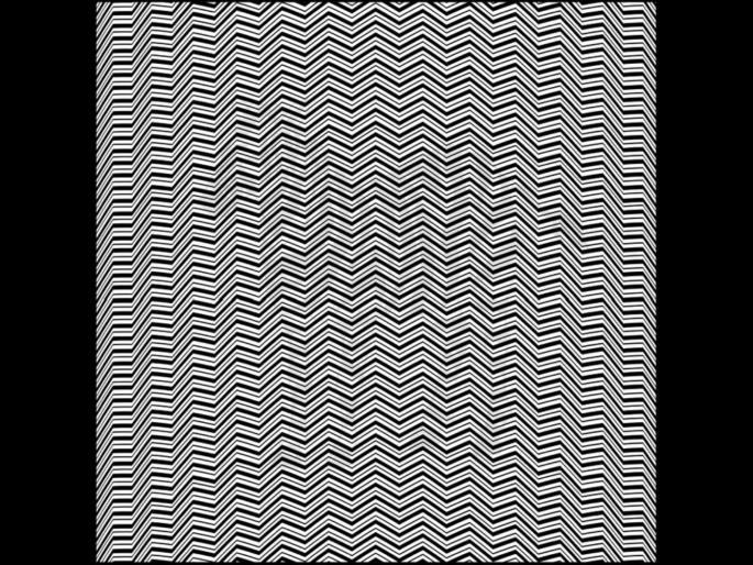 eye test: find zebra in the photo | Eye test: शोधाल तर सापडेल! या फोटोत दडलाय एक प्राणी, तुमची नजर असेल तीक्ष्ण तर दाखवा शोधुन eye test: find zebra in the photo | Eye test: शोधाल तर सापडेल! या फोटोत दडलाय एक प्राणी, तुमची नजर असेल तीक्ष्ण तर दाखवा शोधुन