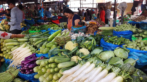 Vegetable exports increase by one and a half thousand tonnes | भाजीपाला निर्यातीत दीड हजार टनाची वाढ Vegetable exports increase by one and a half thousand tonnes | भाजीपाला निर्यातीत दीड हजार टनाची वाढ