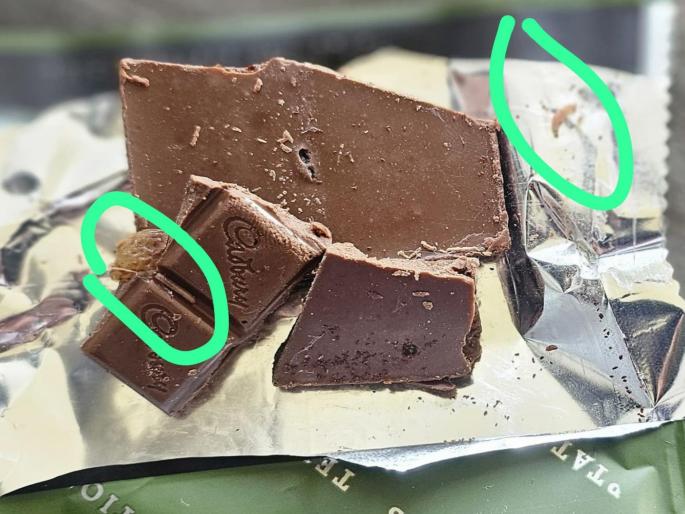 Worm found in Cadbury; Next time you find it, send it to us, says the company. | कॅडबरीमध्ये आढळली अळी; कंपनी म्हणते, ‘पुढच्या वेळी सापडली तर आम्हाला पाठवा’ Worm found in Cadbury; Next time you find it, send it to us, says the company. | कॅडबरीमध्ये आढळली अळी; कंपनी म्हणते, ‘पुढच्या वेळी सापडली तर आम्हाला पाठवा’