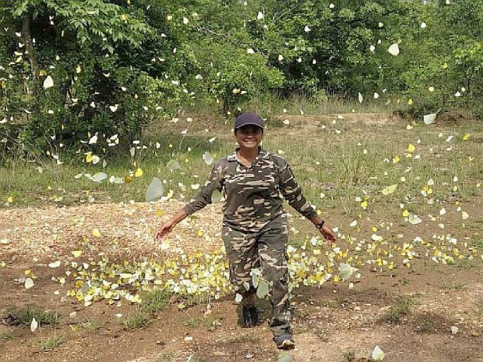 Along with tiger conservation, the Nutan Uikey unfolds the world of butterflies; 54 species have been discovered in Koka Sanctuary | व्याघ्र संरक्षणासाेबतच उलगडले फुलपाखरांचे विश्व; काेका अभयारण्यात ५४ प्रजातींचा घेतला शोध Along with tiger conservation, the Nutan Uikey unfolds the world of butterflies; 54 species have been discovered in Koka Sanctuary | व्याघ्र संरक्षणासाेबतच उलगडले फुलपाखरांचे विश्व; काेका अभयारण्यात ५४ प्रजातींचा घेतला शोध