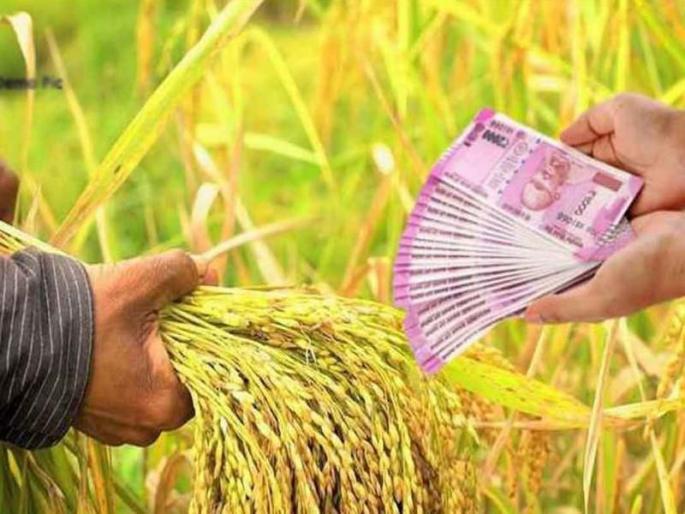 Leading in peak debt allocation this year | यंदा पीककर्ज वाटपात आघाडी Leading in peak debt allocation this year | यंदा पीककर्ज वाटपात आघाडी