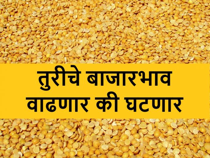 govt extends tur and urad import duty exceptionl till march 25 | तूर आणि उडीद डाळींच्या आयातीसंदर्भात केंद्राचा मोठा निर्णय, बाजारभावावर काय होणार परिणाम? govt extends tur and urad import duty exceptionl till march 25 | तूर आणि उडीद डाळींच्या आयातीसंदर्भात केंद्राचा मोठा निर्णय, बाजारभावावर काय होणार परिणाम?