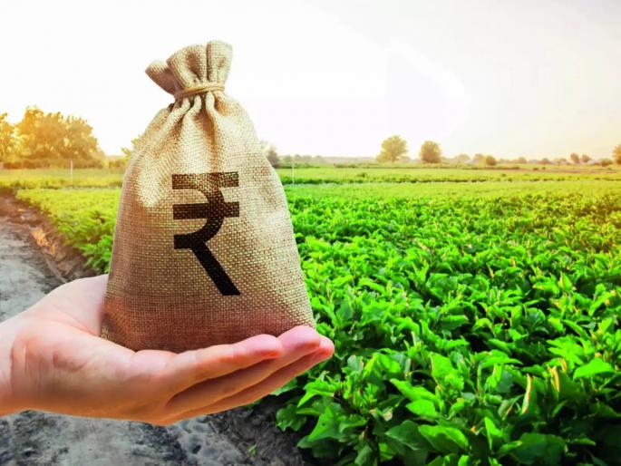 Farmer applications down by 92 lakhs; Deadline to participate in Kharif Crop Insurance Scheme now August 14 | शेतकरी अर्ज घटले ९२ लाखांनी; खरीप पीक विमा योजनेत सहभागी होण्यासाठी आता १४ ऑगस्टची मुदत