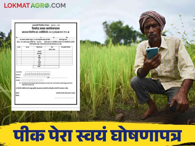 Latest News Pik Pera Certificate pik vima yojana How to download Pik Pera self declaration form | Pik Pera Certificate : पीक विमा अर्जासाठी लागणारं पीक पेरा स्वयंघोषणापत्र कसे डाउनलोड करायचे? Latest News Pik Pera Certificate pik vima yojana How to download Pik Pera self declaration form | Pik Pera Certificate : पीक विमा अर्जासाठी लागणारं पीक पेरा स्वयंघोषणापत्र कसे डाउनलोड करायचे?