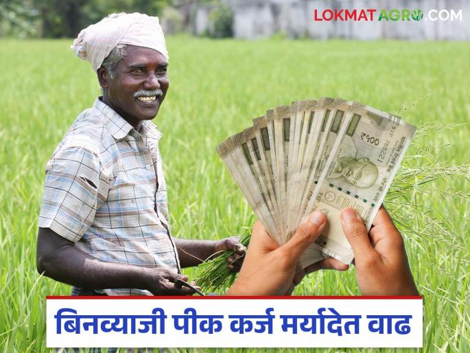 Pik Karja : Increase in interest-free crop loan limit; 'So much' will get up to lakhs | Pik Karja : बिनव्याजी पीक कर्ज मर्यादेत वाढ; 'इतक्या' लाखापर्यंत मिळणार Pik Karja : Increase in interest-free crop loan limit; 'So much' will get up to lakhs | Pik Karja : बिनव्याजी पीक कर्ज मर्यादेत वाढ; 'इतक्या' लाखापर्यंत मिळणार