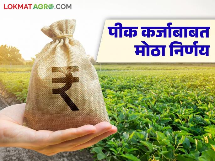 Latest News Pik Karja Now stamp duty on crop loans waived, big decision of maharashtra government | आता पीक कर्जावरील मुद्रांक शुल्क माफ, राज्य सरकारचा मोठा निर्णय, 'या' तारखेपासून लागू Latest News Pik Karja Now stamp duty on crop loans waived, big decision of maharashtra government | आता पीक कर्जावरील मुद्रांक शुल्क माफ, राज्य सरकारचा मोठा निर्णय, 'या' तारखेपासून लागू