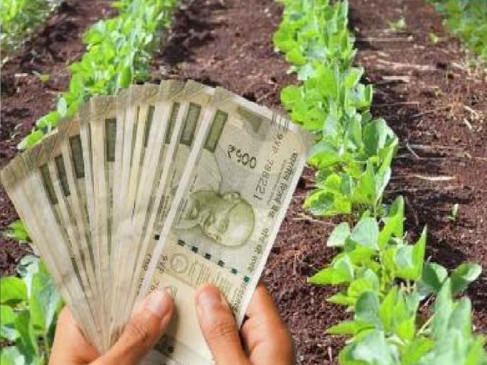 There is a gap of Rs 546 crore in the distribution of Kharif crop loans in Sangli district | सांगली जिल्ह्यात शेतकऱ्यांना पीककर्ज देताना बँकांचा हात आखडता, वितरणात किती कोटींची तफावत.. जाणून घ्या