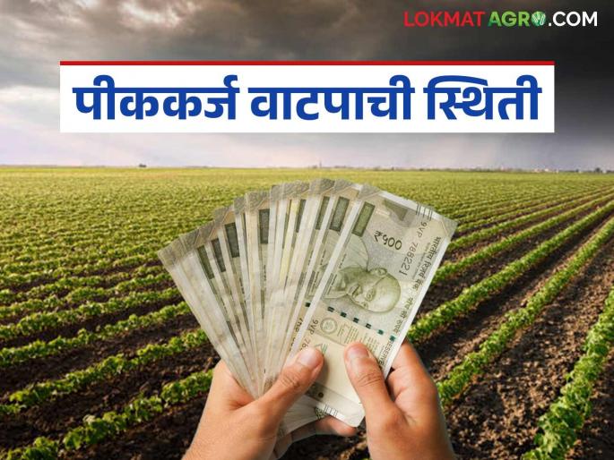 latest news Crop Loan: Sowing is over; but the crop loan distribution train is delayed. Read in detail | Crop Loan : पेरणी आटोपली; पण पीककर्ज वाटपाची गाडी रेंगाळली वाचा सविस्तर
