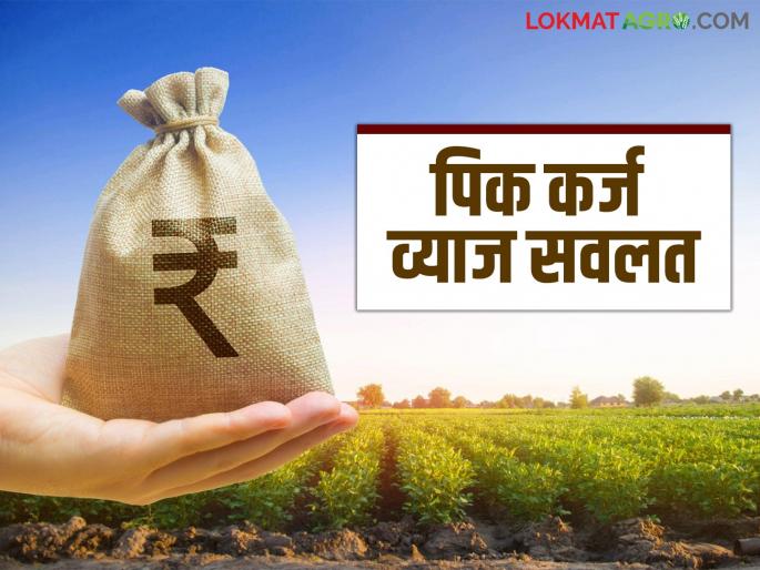 Funds of Rs 165 crore have been received for interest relief on short term crop loans; What is the decision? Read in detail | अल्पमुदत पीक कर्जावरील व्याज सवलतीसाठी १६५ कोटीचा निधी आला; काय आहे निर्णय? वाचा सविस्तर Funds of Rs 165 crore have been received for interest relief on short term crop loans; What is the decision? Read in detail | अल्पमुदत पीक कर्जावरील व्याज सवलतीसाठी १६५ कोटीचा निधी आला; काय आहे निर्णय? वाचा सविस्तर