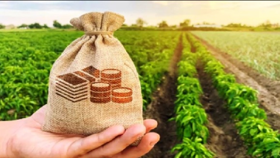 Grants for Empowerment of Development Institutions | राज्यशासनाचे विकास संस्थांच्या सक्षमीकरणासाठी दीड लाखापर्यंत अनुदान, राज्यातील 'इतक्या' संस्थांना लाभ होणार Grants for Empowerment of Development Institutions | राज्यशासनाचे विकास संस्थांच्या सक्षमीकरणासाठी दीड लाखापर्यंत अनुदान, राज्यातील 'इतक्या' संस्थांना लाभ होणार