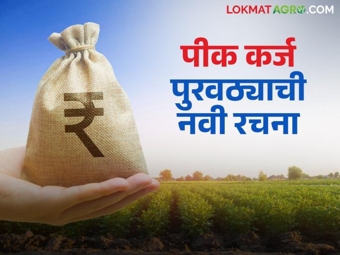 Farmers will now get crop loans at low interest rates; NABARD to introduce two-tier structure | शेतकऱ्यांना आता कमी व्याजात पीककर्ज मिळणार; नाबार्ड द्विस्तरीय रचना आणणार Farmers will now get crop loans at low interest rates; NABARD to introduce two-tier structure | शेतकऱ्यांना आता कमी व्याजात पीककर्ज मिळणार; नाबार्ड द्विस्तरीय रचना आणणार