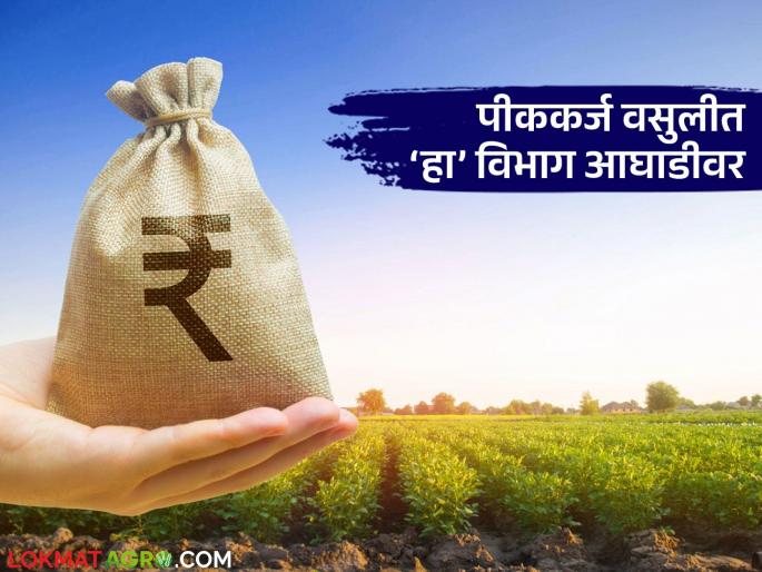 Pik Karj Vasuli : This district is number one in the state in crop loan recovery | Pik Karj Vasuli : पीक कर्ज वसुलीत 'हा' जिल्हा राज्यात नंबर वन; कोणत्या विभागात किती थकबाकी?