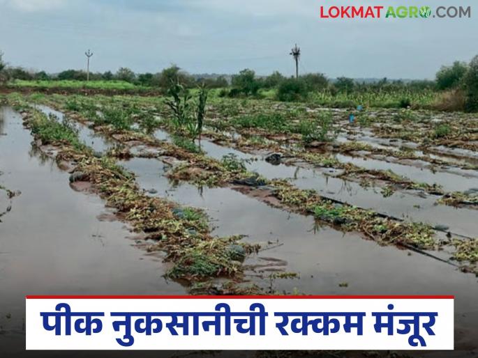 Rs 101 crore sanctioned for crop damage in April, May and August to 'this' district in the state | राज्यातील 'या' जिल्ह्याला एप्रिल, मे, ऑगस्ट महिन्यातील पिक नुकसानीचे १०१ कोटी मंजूर