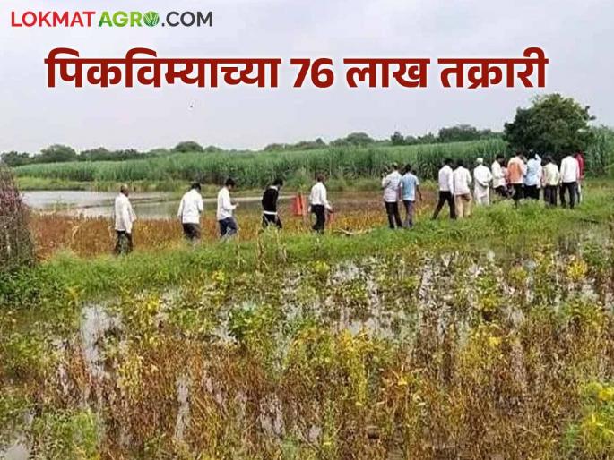 Latest News Agriculture News Heavy loss of agricultural crops, as many as 76 lakh complaints filed with insurance companies | Agriculture News : शेती पिकांचे अतोनात नुकसान, विमा कंपन्यांकडे तब्बल 76 लाख तक्रारी दाखल Latest News Agriculture News Heavy loss of agricultural crops, as many as 76 lakh complaints filed with insurance companies | Agriculture News : शेती पिकांचे अतोनात नुकसान, विमा कंपन्यांकडे तब्बल 76 लाख तक्रारी दाखल