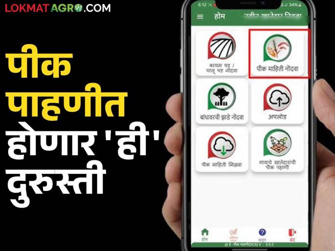 E Pik Pahani : Now crop inspection of this area will be remove; repairs will be made in the area under cultivation | E Pik Pahani : आता ह्या क्षेत्राची पीक पाहणी वगळली जाणार; लागवडीखालील क्षेत्रात दुरुस्ती होणार