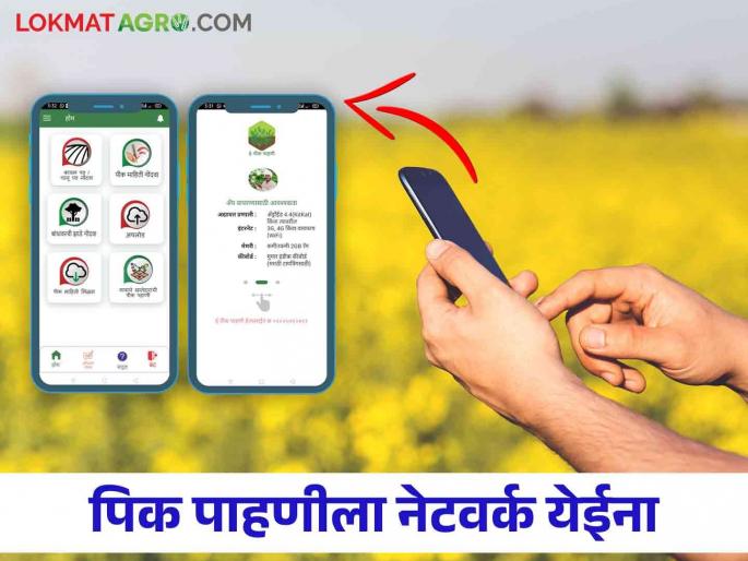 E Pik Pahani: Farmers in trouble due to network obstruction in e-Pik Pahani registration | E Pik Pahani : ई-पीक पाहणी नोंदीला नेटवर्कचा अडथळा शेतकरी अडचणीत E Pik Pahani: Farmers in trouble due to network obstruction in e-Pik Pahani registration | E Pik Pahani : ई-पीक पाहणी नोंदीला नेटवर्कचा अडथळा शेतकरी अडचणीत
