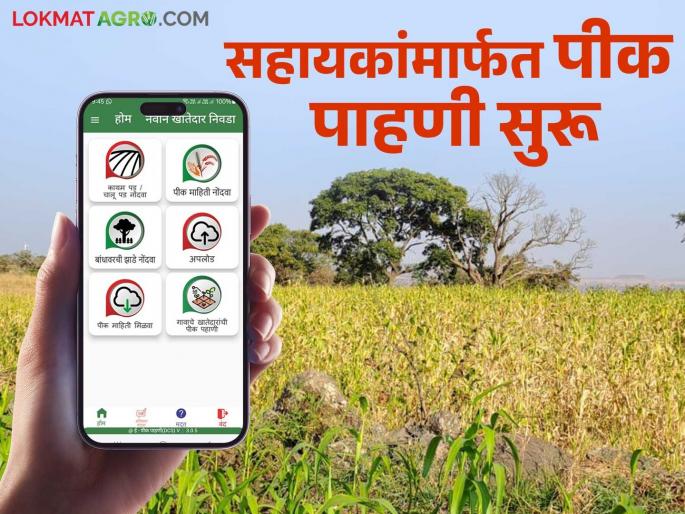 E Peek Pahani : 100 percent crop inspection will be done in the state; Now e-crop inspection through assistants has started | E Peek Pahani : राज्यात १०० टक्के पीक पाहणी होणार; आता सहायकांमार्फत ई-पीक पाहणीला सुरूवात E Peek Pahani : 100 percent crop inspection will be done in the state; Now e-crop inspection through assistants has started | E Peek Pahani : राज्यात १०० टक्के पीक पाहणी होणार; आता सहायकांमार्फत ई-पीक पाहणीला सुरूवात