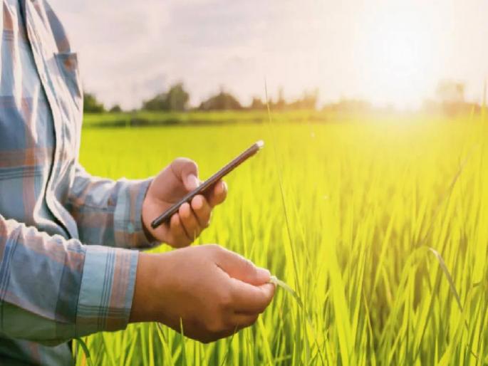 pune news the net area under cultivation in the state will reach a record | राज्यातील निव्वळ लागवडीखालील क्षेत्र रेकॉर्डवर येणार pune news the net area under cultivation in the state will reach a record | राज्यातील निव्वळ लागवडीखालील क्षेत्र रेकॉर्डवर येणार