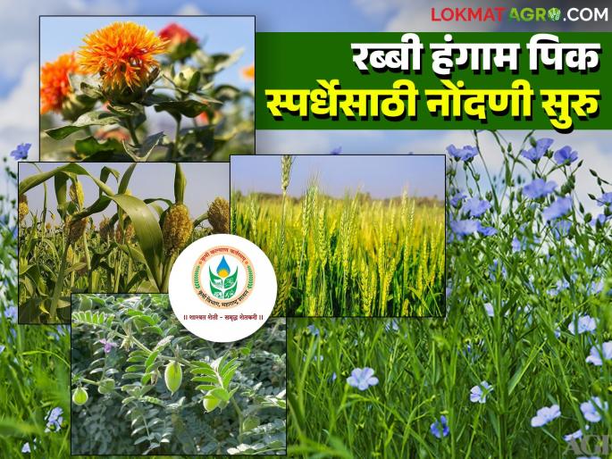 Crop competition will be held for 'these' five crops of the Rabi season; How will you participate? Read in detail | रब्बी हंगामातील 'या' पाच पिकांसाठी होणार पिकस्पर्धा; कसे व्हाल सहभागी? वाचा सविस्तर Crop competition will be held for 'these' five crops of the Rabi season; How will you participate? Read in detail | रब्बी हंगामातील 'या' पाच पिकांसाठी होणार पिकस्पर्धा; कसे व्हाल सहभागी? वाचा सविस्तर