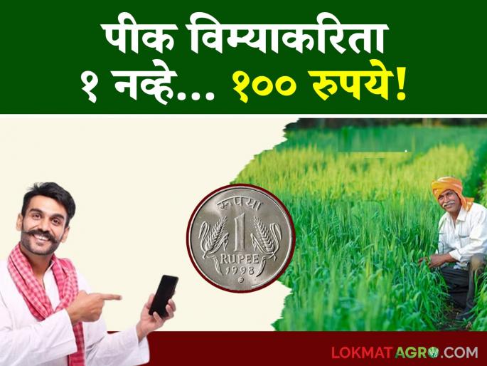 Pik Vima Yojana : What are the recommendations given by the state committee to prevent fraud in the crop insurance scheme? Read in detail | Pik Vima Yojana : पीक विमा योजनेत बनावटगिरी टाळण्यासाठी राज्य समितीने दिल्या ह्या शिफारशी; वाचा सविस्तर Pik Vima Yojana : What are the recommendations given by the state committee to prevent fraud in the crop insurance scheme? Read in detail | Pik Vima Yojana : पीक विमा योजनेत बनावटगिरी टाळण्यासाठी राज्य समितीने दिल्या ह्या शिफारशी; वाचा सविस्तर