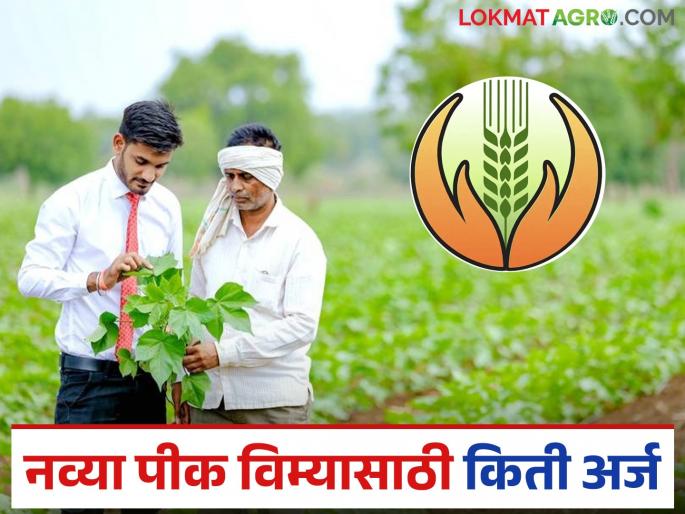 Latest News pik vima yojana One lakh 62 thousand applications from Nashik district for revised crop insurance scheme | नाशिक जिल्ह्यातुन नव्या पीक विम्यासाठी इतके अर्ज आले, तर मागील किती पैसे मिळाले?  Latest News pik vima yojana One lakh 62 thousand applications from Nashik district for revised crop insurance scheme | नाशिक जिल्ह्यातुन नव्या पीक विम्यासाठी इतके अर्ज आले, तर मागील किती पैसे मिळाले?