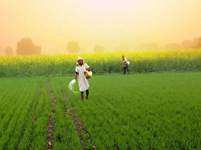 Crop insurance was taken out even without farming, the case in Parbhani, 96 centers were closed | शेती नसतानाही उतरवला पीक विमा, परभणीतील प्रकार, ९६ केंद्रांना ठोकले टाळे Crop insurance was taken out even without farming, the case in Parbhani, 96 centers were closed | शेती नसतानाही उतरवला पीक विमा, परभणीतील प्रकार, ९६ केंद्रांना ठोकले टाळे