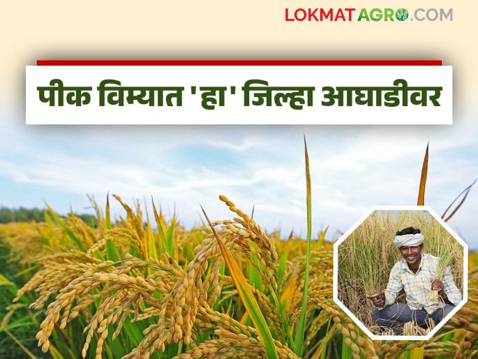 Pik Vima Yojana : How many farmers have taken crop insurance cover in the state in the last four days? | Pik Vima Yojana : गेल्या चार दिवसांमध्ये राज्यात किती शेतकऱ्यांनी घेतले पिक विमा संरक्षण?