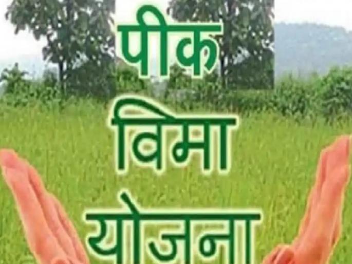 Konkan, Kolhapur division is indifferent in taking out crop insurance | पीकविम्यात कोकण, कोल्हापूर विभाग उदासीन, बीडमध्ये सर्वाधिक शेतकऱ्यांचा सहभाग Konkan, Kolhapur division is indifferent in taking out crop insurance | पीकविम्यात कोकण, कोल्हापूर विभाग उदासीन, बीडमध्ये सर्वाधिक शेतकऱ्यांचा सहभाग