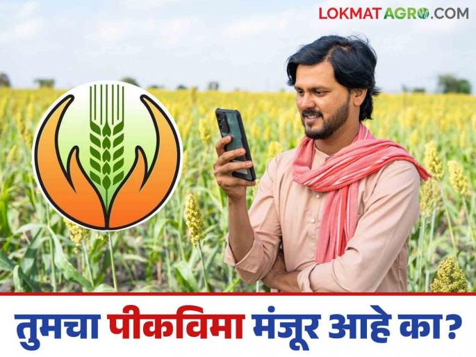 Latest News Pik Vima Application Has your crop insurance application been approved Find out in two minutes | Pik Vima Application : तुमचा पीक विमा अर्ज मंजूर झाला आहे का नाही? दोन मिनिटांत जाणून घ्या  Latest News Pik Vima Application Has your crop insurance application been approved Find out in two minutes | Pik Vima Application : तुमचा पीक विमा अर्ज मंजूर झाला आहे का नाही? दोन मिनिटांत जाणून घ्या