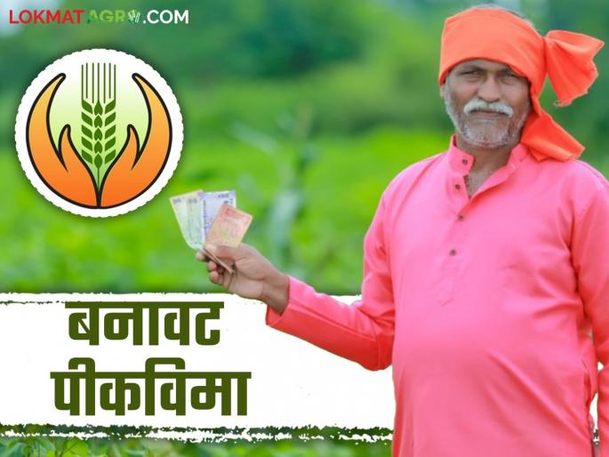 Bogus Crop Insurance: Read the case of some farmers of Parli who have bogus insurance in three districts in detail. | Bogus Crop Insurance : परळीच्या 'या' शेतकऱ्यांचा तीन जिल्ह्यांत बोगस विमा काय आहे प्रकरण वाचा सविस्तर Bogus Crop Insurance: Read the case of some farmers of Parli who have bogus insurance in three districts in detail. | Bogus Crop Insurance : परळीच्या 'या' शेतकऱ्यांचा तीन जिल्ह्यांत बोगस विमा काय आहे प्रकरण वाचा सविस्तर