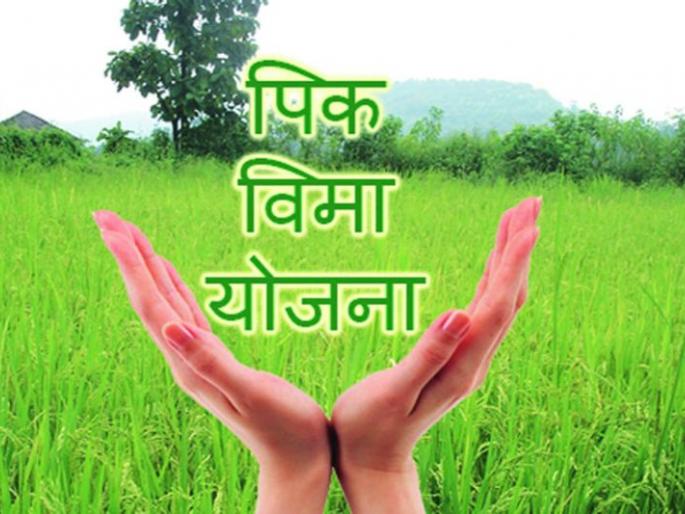 Crop insurance scheme is beneficial for companies pm fasal bima yojana | पंतप्रधान पीक विमा योजना ठरतेय राज्यातील शेतकऱ्यांंपेक्षा विमा कंपन्यांसाठीच फायद्याचा सौदा Crop insurance scheme is beneficial for companies pm fasal bima yojana | पंतप्रधान पीक विमा योजना ठरतेय राज्यातील शेतकऱ्यांंपेक्षा विमा कंपन्यांसाठीच फायद्याचा सौदा