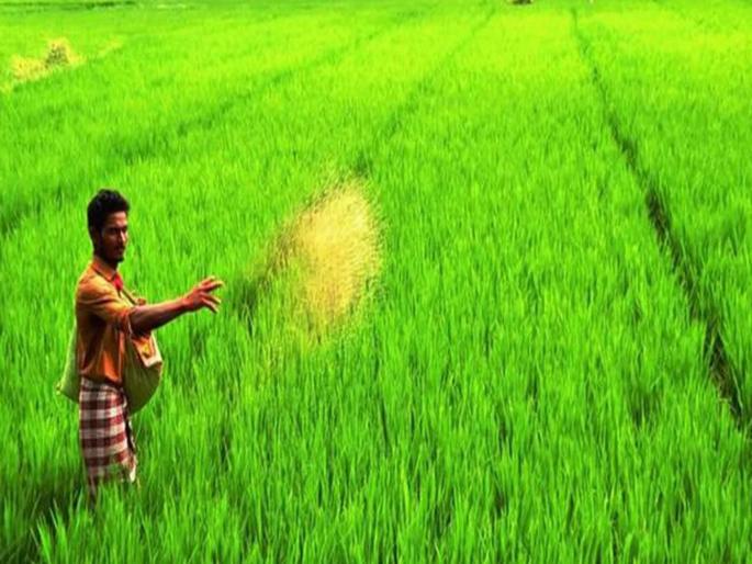 Pune news Crop insurance premium to be charged at 2 to 5 percent, compensation based on crop harvest experiment, state cabinet approval soon | नुकसानभरपाई ही पीक कापणी प्रयोगावर आधारित; राज्याची मोहोर..! Pune news Crop insurance premium to be charged at 2 to 5 percent, compensation based on crop harvest experiment, state cabinet approval soon | नुकसानभरपाई ही पीक कापणी प्रयोगावर आधारित; राज्याची मोहोर..!